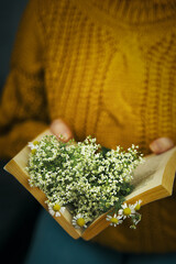 Woman sits with bouquet of wildflowers in open book. Romantic prose. Blooming spring. Daisies on pages of book. Girl in warm knitted sweater and jeans.
