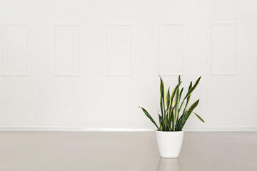 View of empty room with houseplant