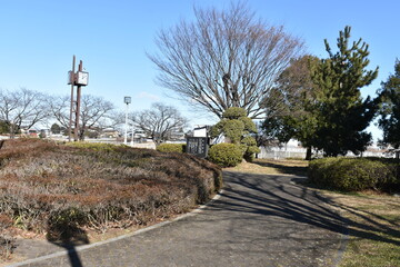 埼玉県　白岡市　白岡市役所　周辺の風景　公園