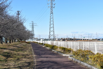 埼玉県　白岡市　白岡市役所　周辺の風景　公園