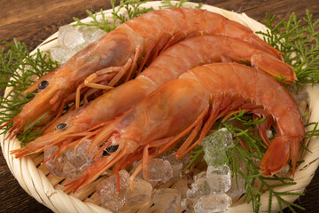 アルゼンチン産　赤エビ