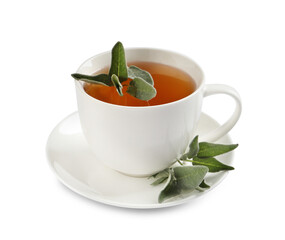 Cup of aromatic sage tea and fresh leaves isolated on white