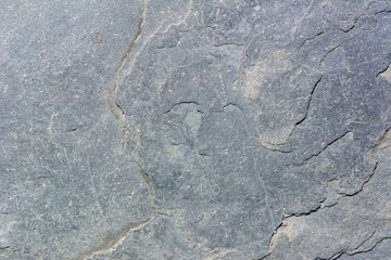 Closeup nature grey stone texture background.
