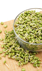 green soybean sprouts on white background