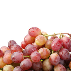 red grapes isolated on white