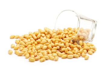 soybean isolated on white background 