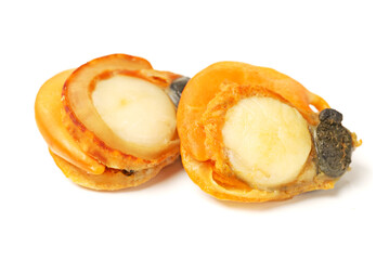 Raw scallop background