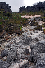 Parque Nacional do Monte Roraima. Roraima.