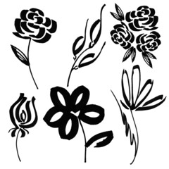 Markerblack white flower with leaves hand drawn line stroke pattern watercolor set