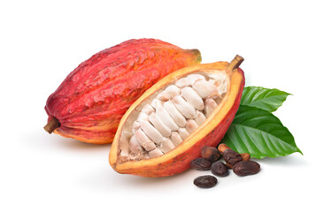 Red cocoa pods with half sliced and dried beans isolated on white background.
