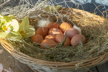An Easter nest with brown chicken eggs in a basket made of vines is illuminated by the bright spring sun on a wooden background. The concept of the holy Easter holiday