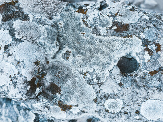 Texture of old stone close up. Natural background with stone pattern, moss and bumps from wind and water. 