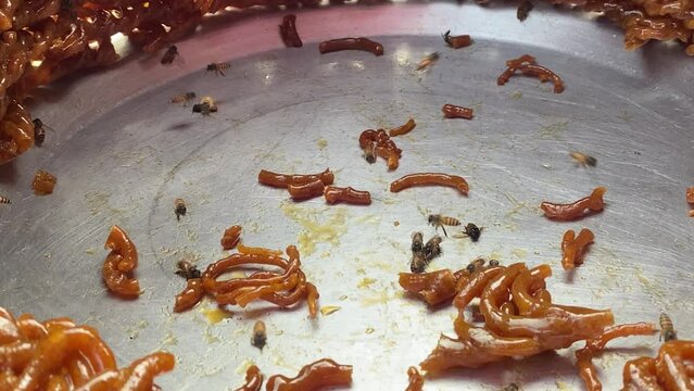 Honey Bees On Sweet Dish With Broken Pieces Of Orange Jalebi In Shop Front, Close Up Shot