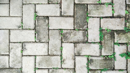 Obraz premium Paving block, also called conblock, is a building material made of cement and sand. 