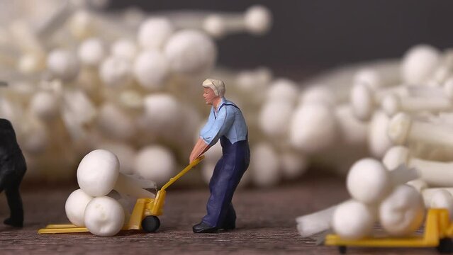 Enoki mushrooms and miniature people. Concept of harvesting and trading agricultural products.
