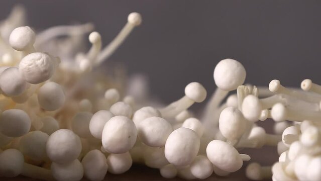Enoki mushroom image that enlarges. Fresh enoki mushrooms.
