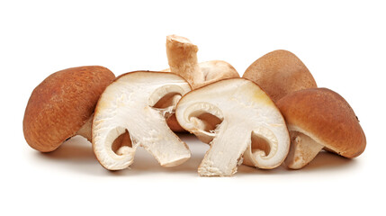 Shiitake mushroom on the White background 