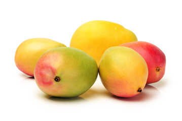 Mango on a white background