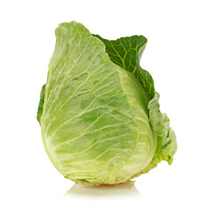 cabbage isolated on white background