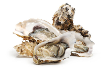 Fresh opened oyster on white background