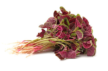 amaranth  on white background