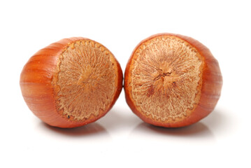 Hazelnuts on white background