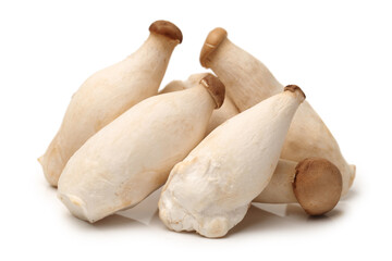 King oyster mushroom Pleurotus eryngii on white background 