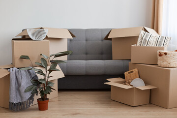 Indoor shot of gray sofa with cardboard boxes with personal piles, flower pot with plant, unpacking belongings while moving.