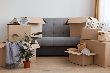 Indoor shot of gray sofa with cardboard boxes with personal piles, flower pot with plant, unpacking...