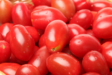 Small cherry tomato on white background 