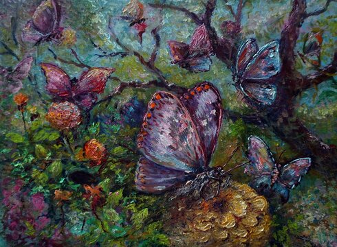  Art Oil painting color The butterfly ,   insect  , moth, bug, beetle