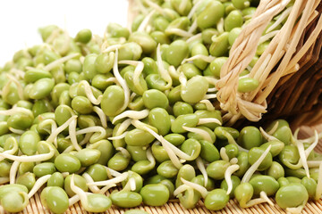 green beans sprouts  in the market