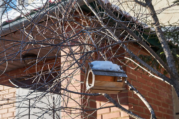 bird feeder hangs on a tree, winter sunny day