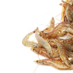 shrimp isolated on white background
