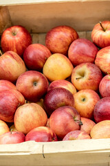 red apples in a box