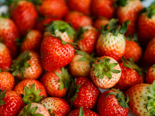 Top view close up studio shot of fresh healthy tasty raw red strawberries.