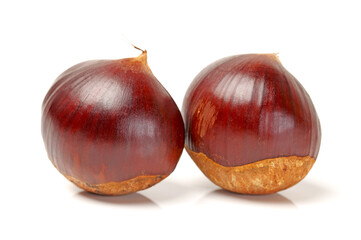 chestnuts isolated on white background