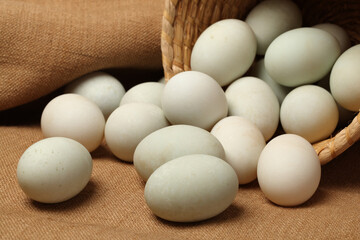 Duck eggs