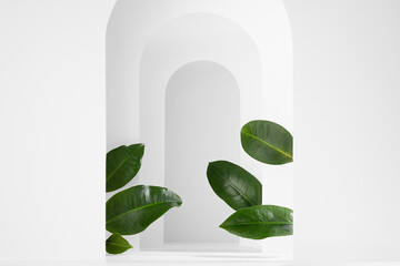 Fashion decorative scene mockup of white arches frames, growing tropical green leaves, sun, shadow for presentation, showing, display of cosmetic, design, advertising in fresh spring style, closeup.