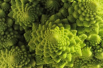 Geometries of Romanesco broccoli, excellent food