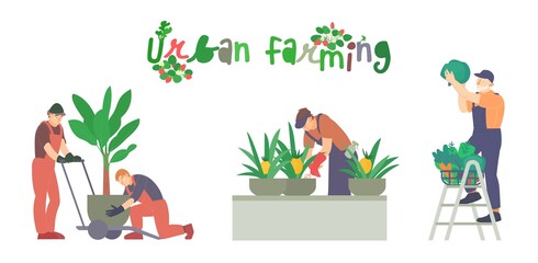 Urban farming, gardening. Editable vector illustration in modern style