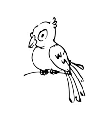 Bird funny. Cheerful wild animal. A comical character. Outline sketch. Hand drawing is isolated on a white background. Vector