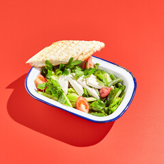 Vegetarian green salad on trendy red background with hard shadow. Green bowl with vegetables and tofu in minimal style. Contemporary food menu. Healthy food in modern concept.
