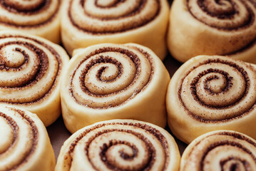 Raw Cinnamon rolls or cinnabon close up, Raw cinnamon rolls ready for baking. sweet traditional dessert buns