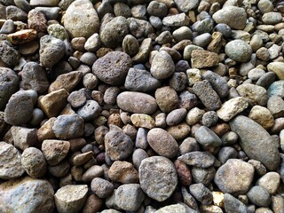 Pebbles in the yard