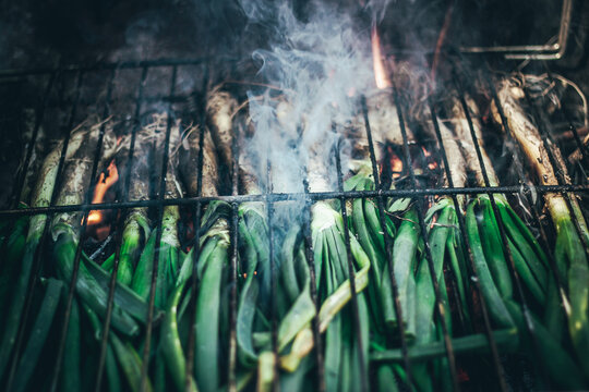 Cal&ccedil;ots, una cebolla joven catalana. "Cal&ccedil;otadas". comida t&iacute;pica catalana. Se comen con salsa Salsa romesco