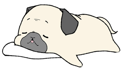 うつぶせでクッションに顎を乗せて眠るパグのこども