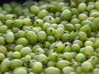 Fresh Gooseberries at Farmers Market