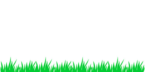 Vector green grass isolated on white background. Herbal Border, horizontal bottom edging, lawn panoramic landscape. Template, design element, illustration