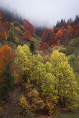 Obraz premium autumn in the Ukrainian mountains, houses in the autumn forest